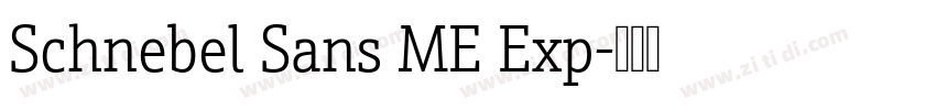 Schnebel Sans ME Exp字体转换